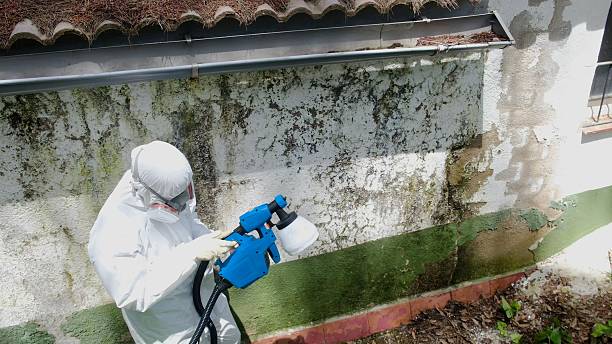 Top rated local Attic Mold Remediation specialists in Crofton, MD